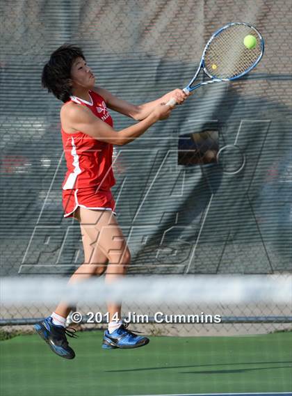 Thumbnail 3 in Palatine @ Fremd photogallery.