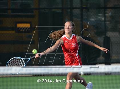 Thumbnail 1 in Palatine @ Fremd photogallery.