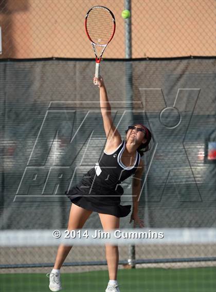 Thumbnail 3 in Palatine @ Fremd photogallery.