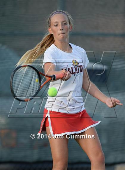 Thumbnail 1 in Palatine @ Fremd photogallery.