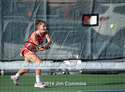 Thumbnail 3 in Palatine @ Fremd photogallery.