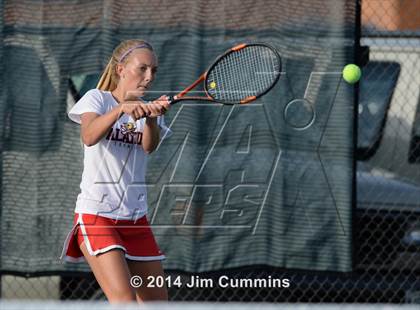 Thumbnail 1 in Palatine @ Fremd photogallery.