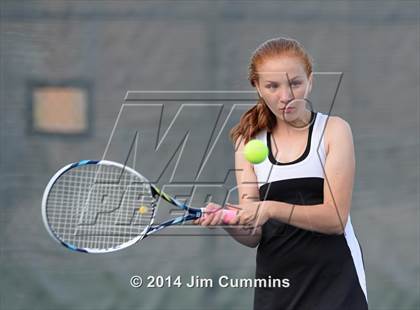 Thumbnail 1 in Palatine @ Fremd photogallery.