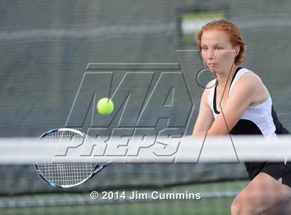 Thumbnail 2 in Palatine @ Fremd photogallery.