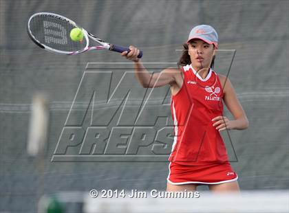 Thumbnail 2 in Palatine @ Fremd photogallery.