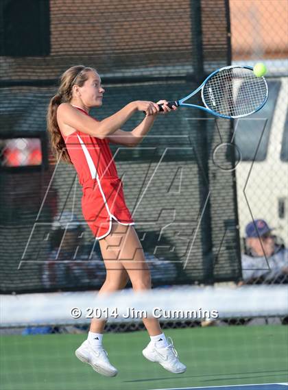 Thumbnail 2 in Palatine @ Fremd photogallery.