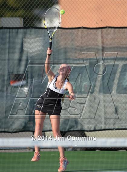 Thumbnail 1 in Palatine @ Fremd photogallery.