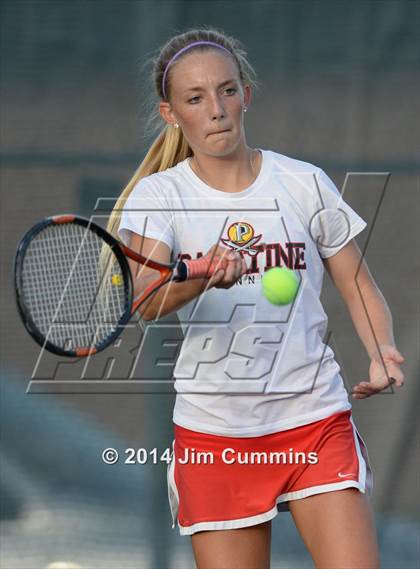 Thumbnail 3 in Palatine @ Fremd photogallery.