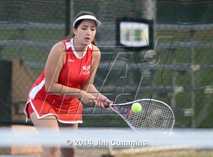 Thumbnail 1 in Palatine @ Fremd photogallery.