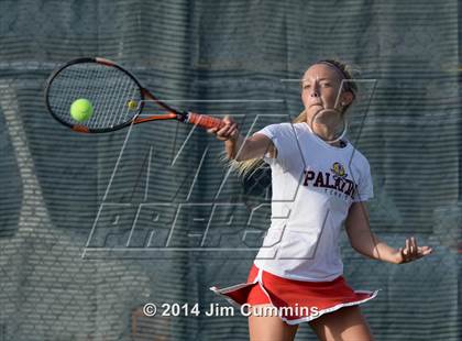 Thumbnail 3 in Palatine @ Fremd photogallery.