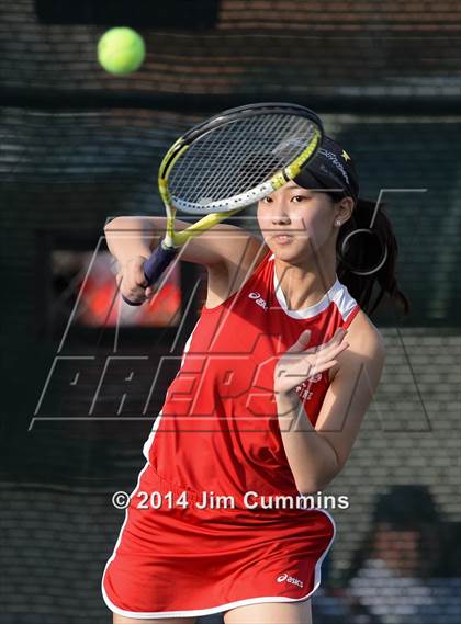 Thumbnail 1 in Palatine @ Fremd photogallery.