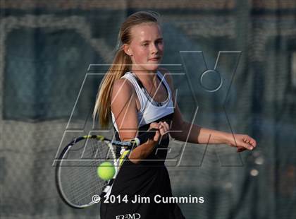 Thumbnail 3 in Palatine @ Fremd photogallery.