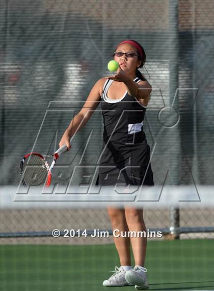 Thumbnail 2 in Palatine @ Fremd photogallery.