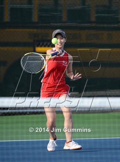 Thumbnail 1 in Palatine @ Fremd photogallery.