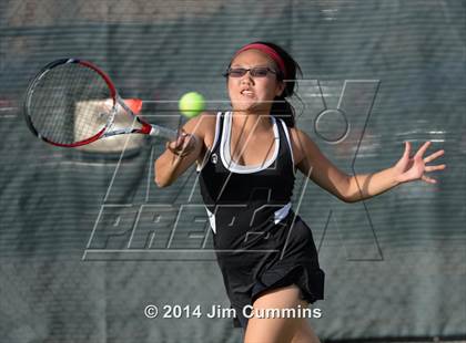 Thumbnail 2 in Palatine @ Fremd photogallery.
