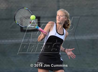 Thumbnail 3 in Palatine @ Fremd photogallery.