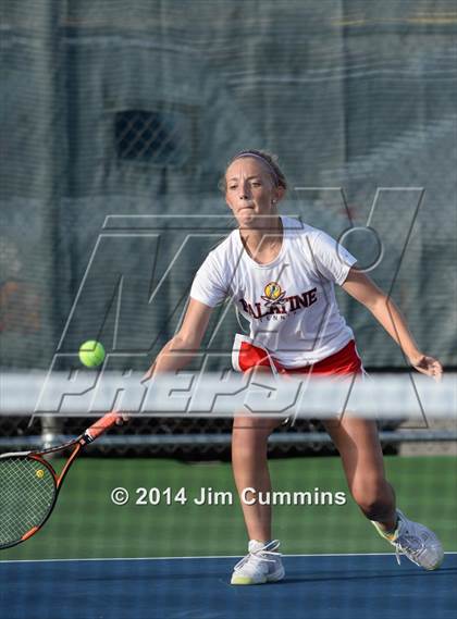 Thumbnail 2 in Palatine @ Fremd photogallery.