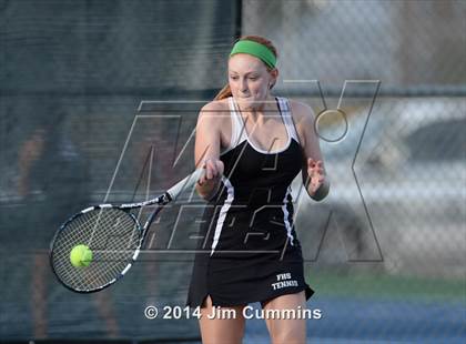 Thumbnail 3 in Palatine @ Fremd photogallery.