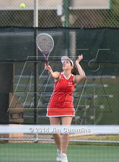 Thumbnail 2 in Palatine @ Fremd photogallery.