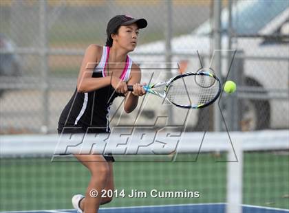 Thumbnail 3 in Palatine @ Fremd photogallery.