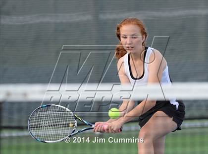 Thumbnail 2 in Palatine @ Fremd photogallery.