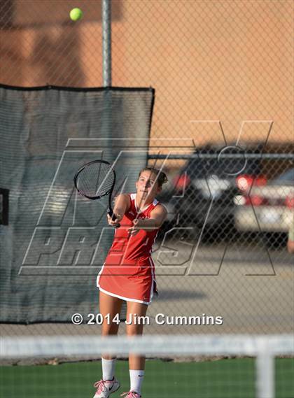 Thumbnail 1 in Palatine @ Fremd photogallery.