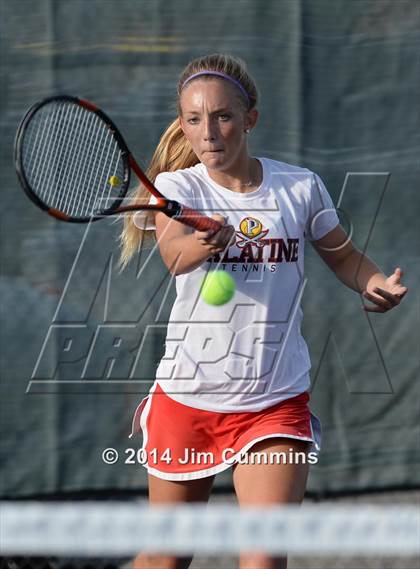 Thumbnail 1 in Palatine @ Fremd photogallery.
