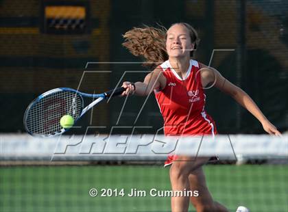 Thumbnail 2 in Palatine @ Fremd photogallery.