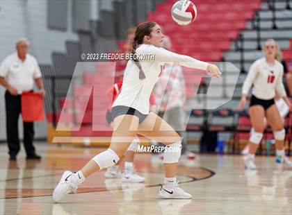 Thumbnail 3 in Anna @ Pottsboro photogallery.