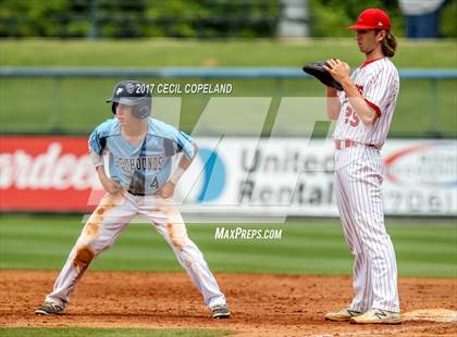 Thumbnail 3 in Lee County vs. Pope (GHSA 6A Final Game 2) photogallery.