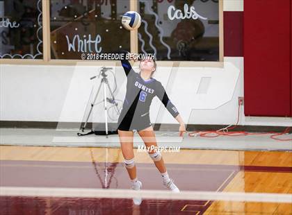 Thumbnail 3 in Gunter @ Callisburg photogallery.