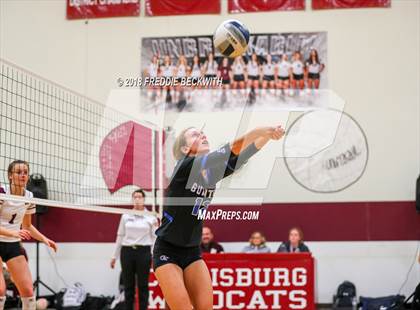 Thumbnail 2 in Gunter @ Callisburg photogallery.