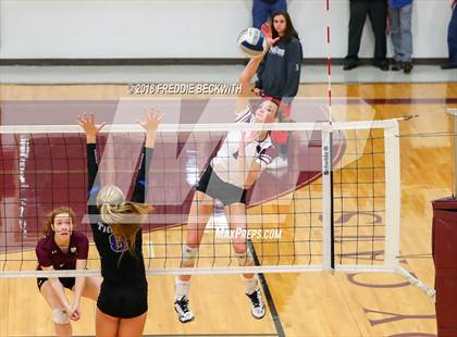 Thumbnail 1 in Gunter @ Callisburg photogallery.
