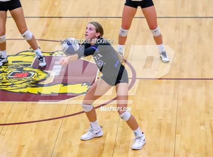 Thumbnail 1 in Gunter @ Callisburg photogallery.