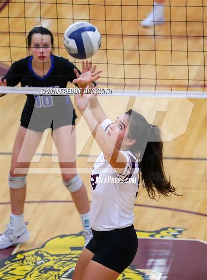 Thumbnail 2 in Gunter @ Callisburg photogallery.