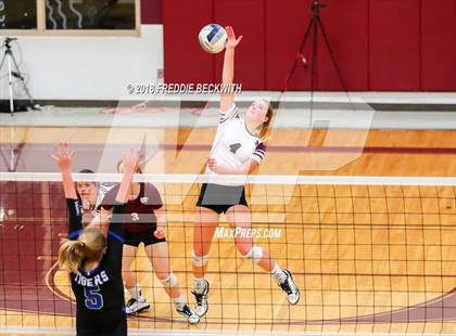 Thumbnail 1 in Gunter @ Callisburg photogallery.