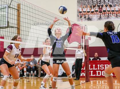 Thumbnail 1 in Gunter @ Callisburg photogallery.