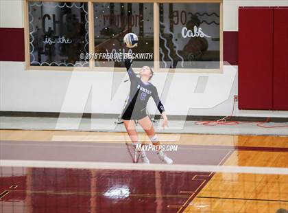 Thumbnail 2 in Gunter @ Callisburg photogallery.
