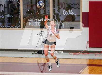 Thumbnail 2 in Gunter @ Callisburg photogallery.