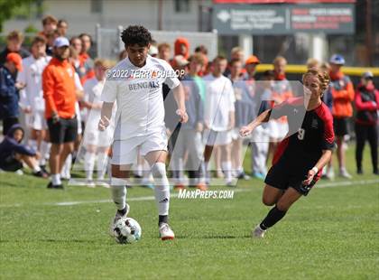 Thumbnail 2 in Brighton vs. Alta (UHSAA 5A Quarterfinal) photogallery.