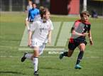 Photo from the gallery "Brighton vs. Alta (UHSAA 5A Quarterfinal)"