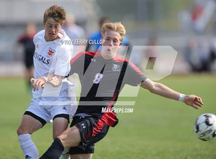 Thumbnail 2 in Brighton vs. Alta (UHSAA 5A Quarterfinal) photogallery.