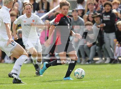Thumbnail 1 in Brighton vs. Alta (UHSAA 5A Quarterfinal) photogallery.