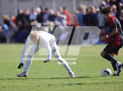 Thumbnail 1 in Brighton vs. Alta (UHSAA 5A Quarterfinal) photogallery.