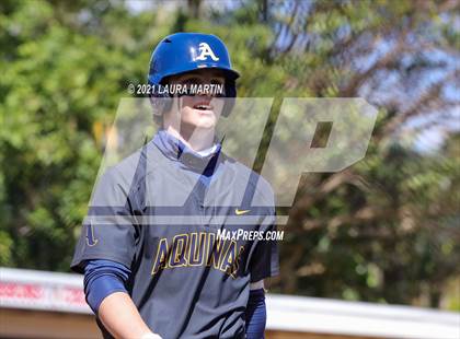 Thumbnail 1 in St. Thomas Aquinas @ Cardinal Gibbons photogallery.