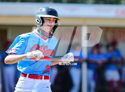 Thumbnail 1 in St. Thomas Aquinas @ Cardinal Gibbons photogallery.