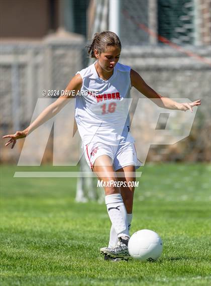 Thumbnail 1 in Weber @ Riverton photogallery.