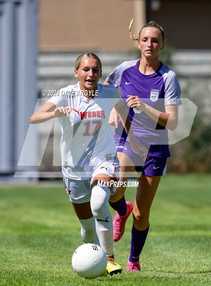 Thumbnail 3 in Weber @ Riverton photogallery.