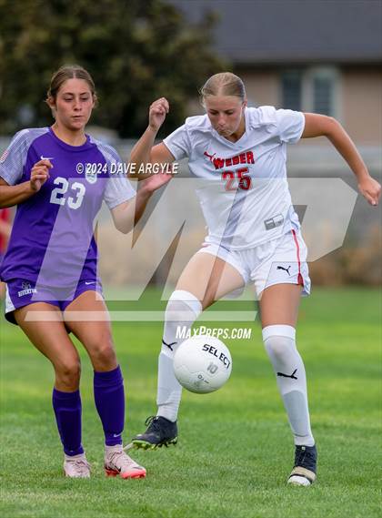 Thumbnail 2 in Weber @ Riverton photogallery.