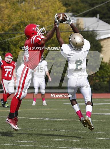 null - Photo 41
